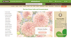 Desktop Screenshot of bulbsdirect.com